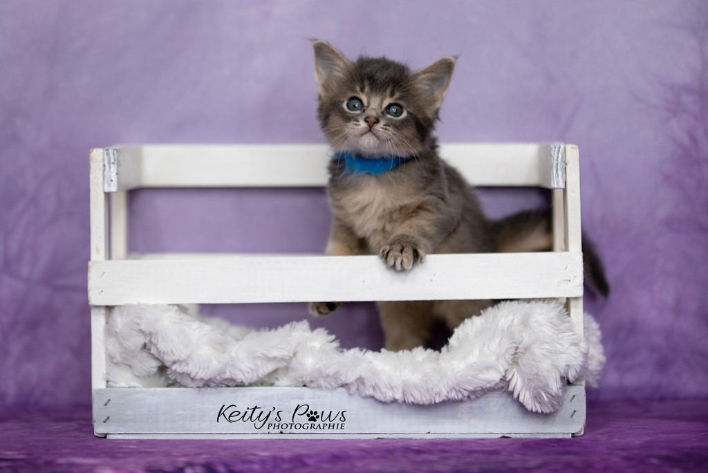 Underwater Sirius  1 Mois