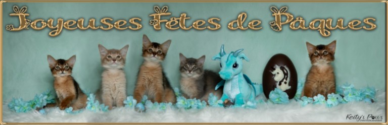 Alya Altaïs Ankãa 1 Mois