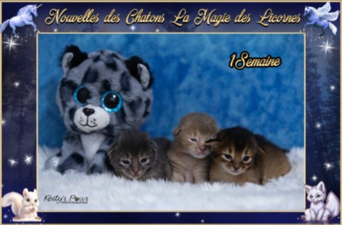 Alya Altaïs Ankãa 1 Mois