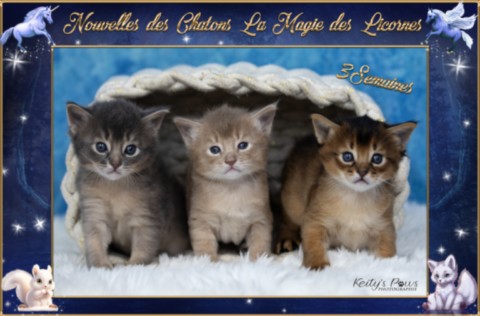 Alya Altaïs Ankãa 1 Mois