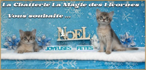 Alya Altaïs Ankãa 1 Mois