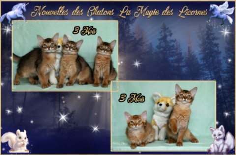 Alya Altaïs Ankãa 1 Mois