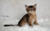 1 Mois