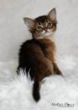 1 Mois