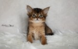 1 Mois