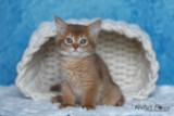 Athena -Abigail  1 Mois