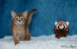 Athena -Abigail  2  Mois