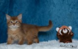 Athena -Abigail  2  Mois