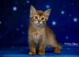 Athena -Abigail  2  Mois
