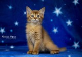 Athena -Abigail  2  Mois