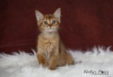 Athena -Abigail  2 Mois