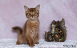 Athena -Abigail  3 Mois