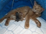 Naissance